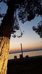 Chorozis Studios Thassos Greece