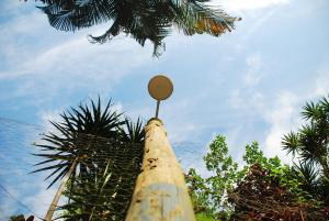 Chalés na Mata Ubatuba