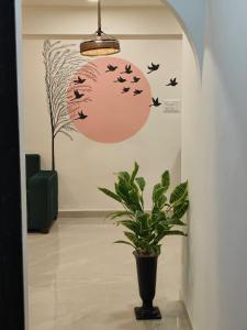 Staeg Nirvana 2BHK