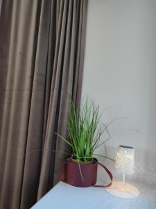 Old town studio self check-in