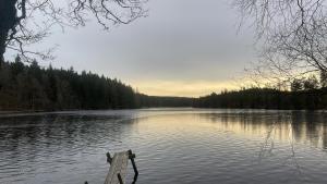 Historiskt, mysigt boende med sjöutsikt i underbar miljö