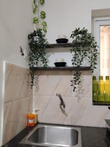 Gachibowli House of Arts 105 Elina Stays