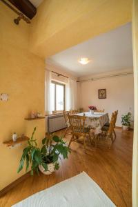 Apartment Anica