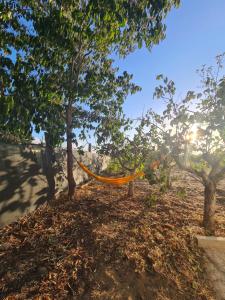 Villetta indipendente a Balestrate