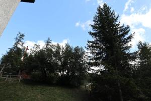 Résidence Les Flocons - APPARTEMENT N°107 LES FLOCONS MAE-6853