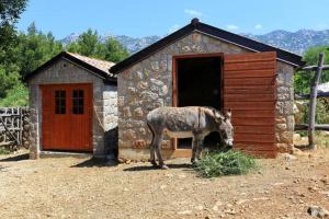 Stone house Magarac