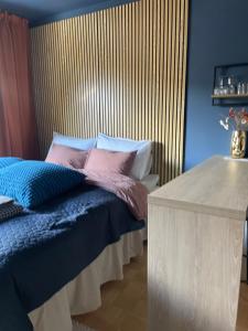 Tunnelmallinen keskusta-asunto