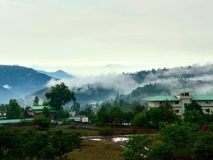 Silver Petal Hospitality