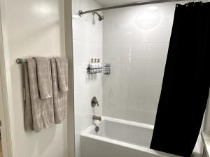 Cozy studio in heart of Santa Monica free parking