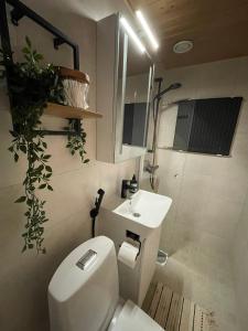 Tunnelmallinen keskusta-asunto