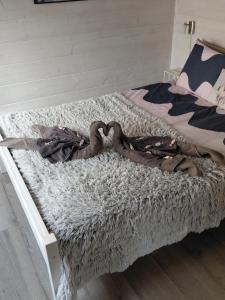 Im Land der Lappen Villa Pakatti