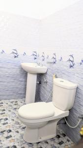 katunayake city apartment