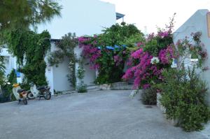 Studios Panorama Drios Paros Greece