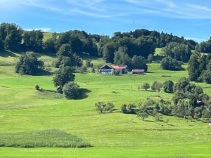 Traumpanorama im Chiemgau zwischen Chiemsee und Salzburg - 74 qm