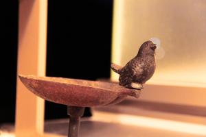 Hotel Luandon Shirahama