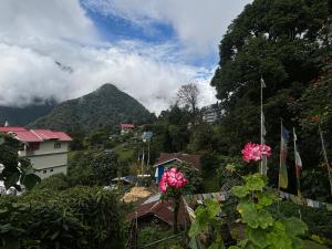 Mountain Whisper Homestay Yuksom