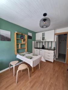 Appartement Chaleureux pied des pistes & vue Pelvoux II