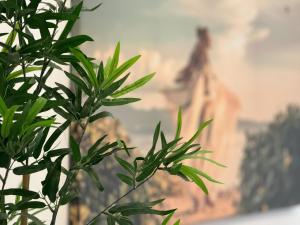 77 Nasaud Apartments part of GlamAp with Park