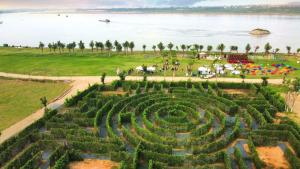 Lynn Time Thanh Thủy