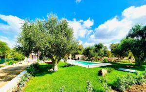 Allombra degli Ulivi by BarbarHouse