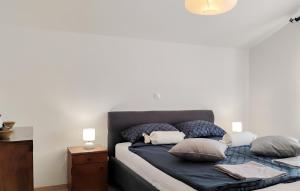 Nice Apartment In Hreljin With Wifi 