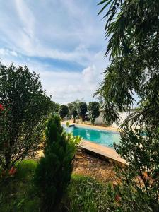 seagullresort