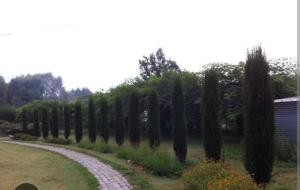 Hotel bahishti - Ubytování bez kategorie ve městě Šrínagar