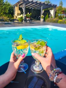 Saskia Dwór & Spa Willa z basenem