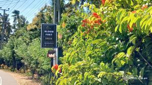 Belihuloya Bloom Frot Villa