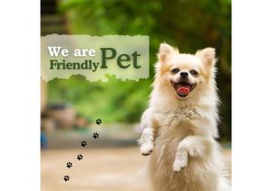 Olive Serviced Apartments - New Friends Colony