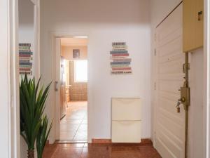 Live Las Palmas Wind Rose