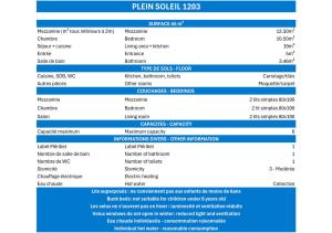 Résidence Plein Soleil - BEL APPARTEMENT EN ETAGE,LABEL MERIBEL, EXPOSITION SUD SUR LES PISTES MAE-7462