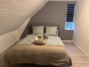 Luxury villa with modern design & spa bathroom