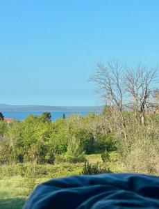 Villa V, ROOMS WITH PRIVATE BATHROOM, SHARED KITCHEN, LIVING ROOM AND GARDEN WITH POOL, Privlaka, Zadar