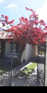 Nel's Casa Hostel A 15 minutos de Aeropuerto Ezeiza - 4hvězdičkové hotely ve městě Monte Grande