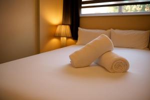 A Cozy Escape in Kentish Town