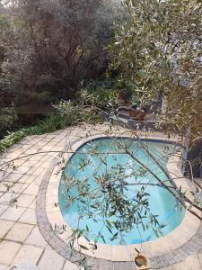 Pecan Tree Forest Studio A