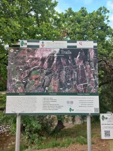 Pecan Tree Forest Studio A