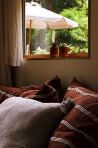 Tiny House Alba - ervaar tiny house living