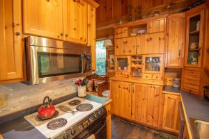 Secluded 2 Bd Cabin- Firepit, Hot Tub, Dogs OK, Sleeps 6