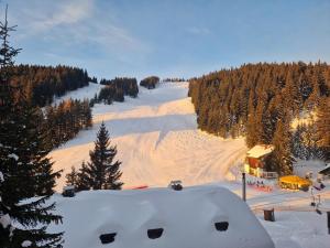 Apartment MOUNTAIN PEARL Golte 