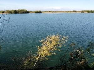 Holiday Home Rina - 250m from the sea by Interhome