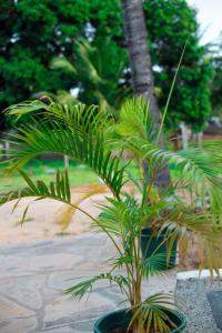 Craft House - An Artistic Oasis