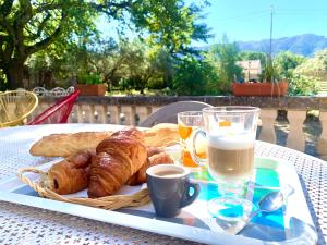 La maison aux oiseaux - Luberon
