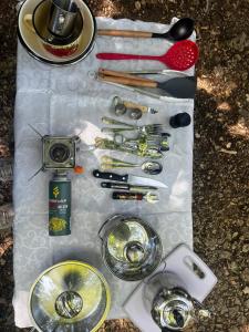 Camping Car Rental Georgia