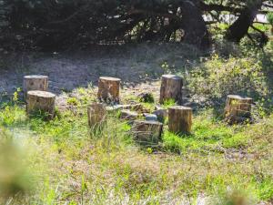 Holiday Home Velika - 1-2km from the sea by Interhome