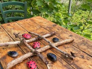 Holiday Home Elvin - 2-7km from the sea by Interhome