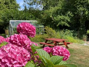Holiday Home Elvin - 2-7km from the sea by Interhome