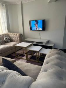 Kayla one bedroom apartment