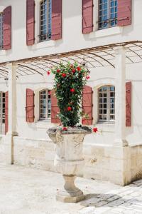 Le Mas Caladoc Luxury Retreat with Private Spa in Provence